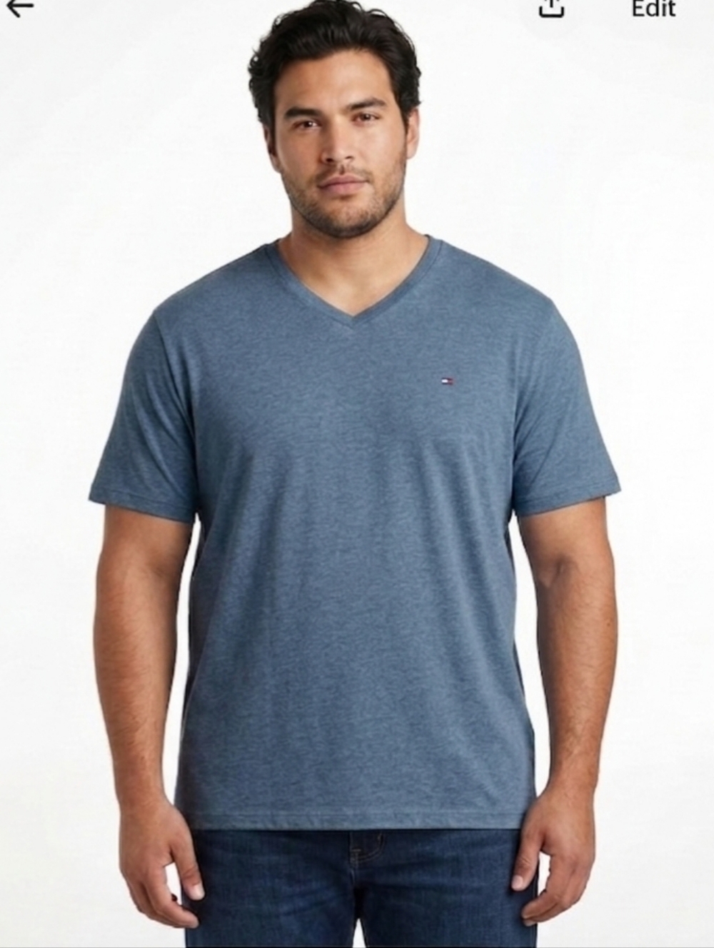 Tommy Hilfiger Men's Short Sleeve V Neck Blue T-Shirt SZ 2XL